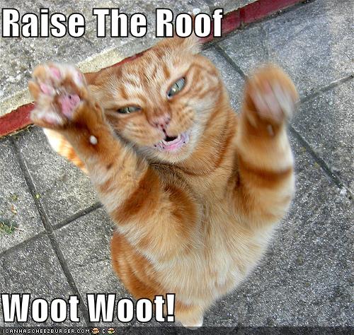 Raise The Roof Woot Woot! - Cheezburger - Funny Memes 