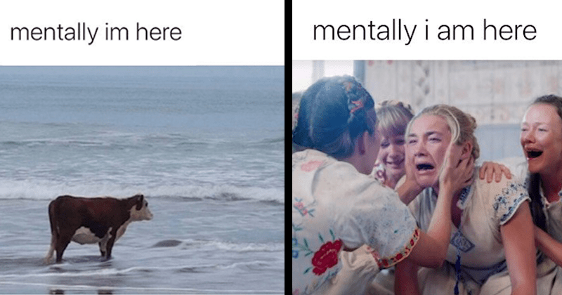 Memebase - midsommar - All Your Memes In Our Base - Funny Memes