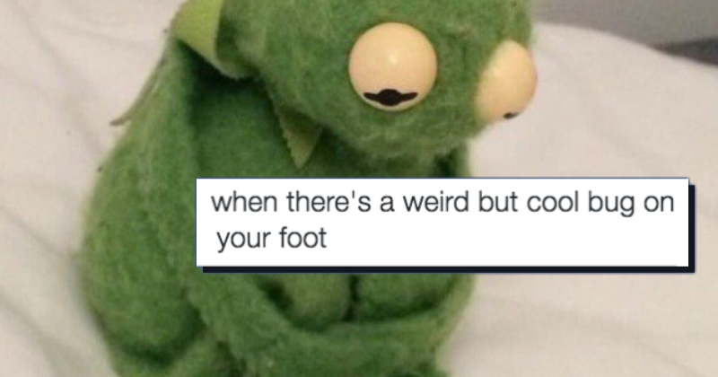 Twitter Tries To Cheer Everyone Up By Turning This Sad Kermit Meme Into