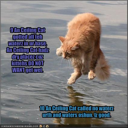 Lolcat Bible Genesis 1 9 10 Cheezburger Funny Memes Funny