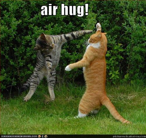  air  hug  Cheezburger Funny Memes  Funny Pictures