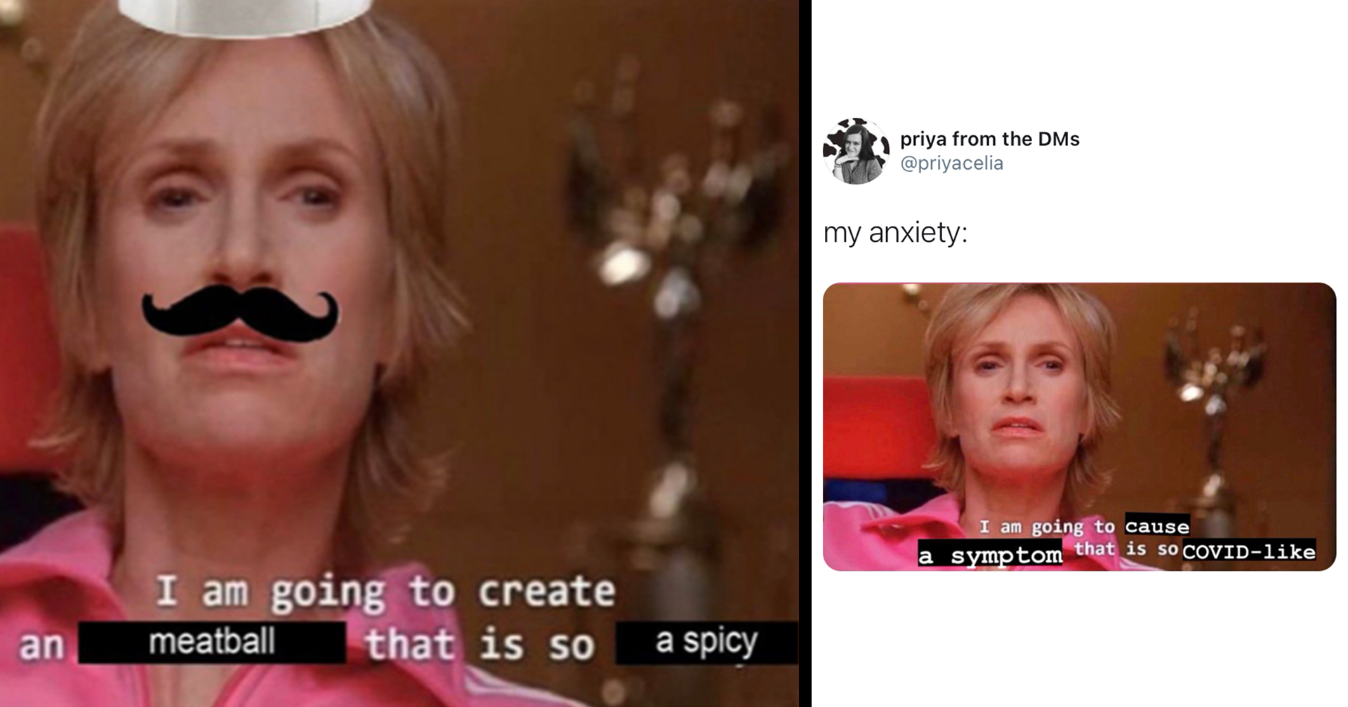 Of The Funniest Recent Sue Sylvester Twitter Memes Memebase Funny Memes