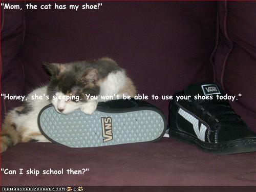 Mom The Cat Has My Shoe Honey She S Sleeping You Won T Be Able To Use Your Shoes Today Can I Skip School Then Cheezburger Funny Memes Funny Pictures