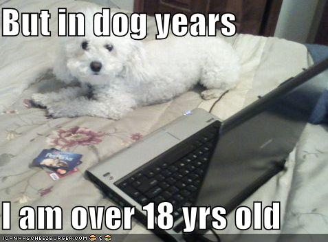 18 yrs in dog years
