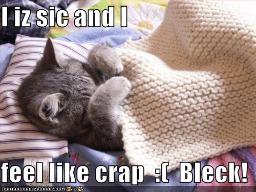 I iz sic and I feel like crap :( Bleck! - Cheezburger 