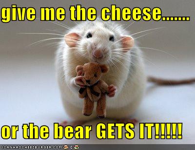 Bear Give Me The Cheese