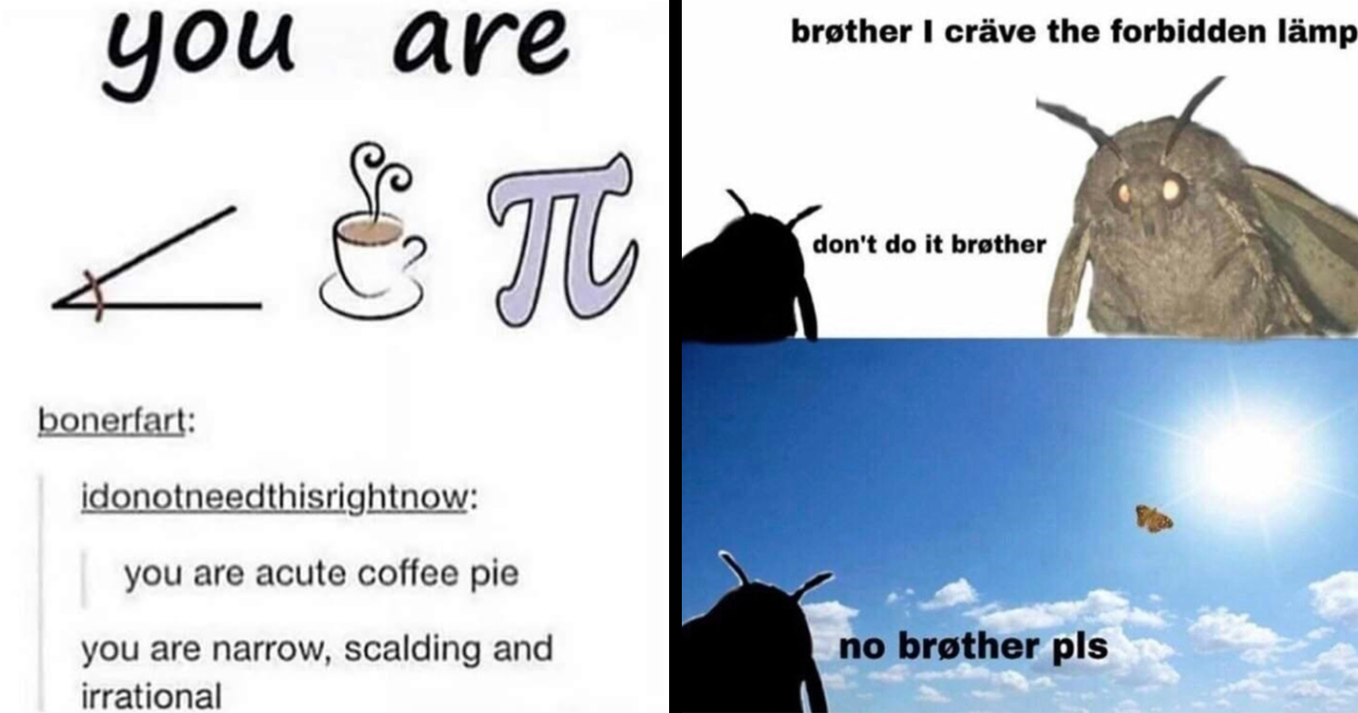 43 Dumb Memes For A Smart Sense Of Humor Memebase Funny Memes