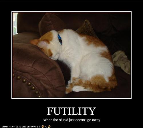 FUTILITY - Cheezburger - Funny Memes | Funny Pictures