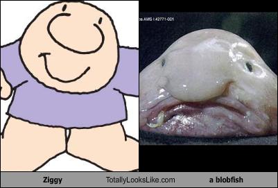 Totally Looks Like Blobfish Cheezburger