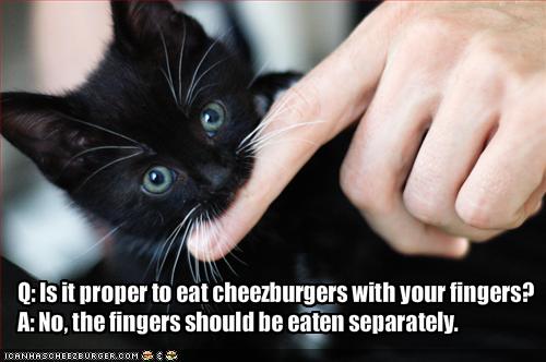 q-is-it-proper-to-eat-cheezburgers-with-your-fingers-r-a-no-the