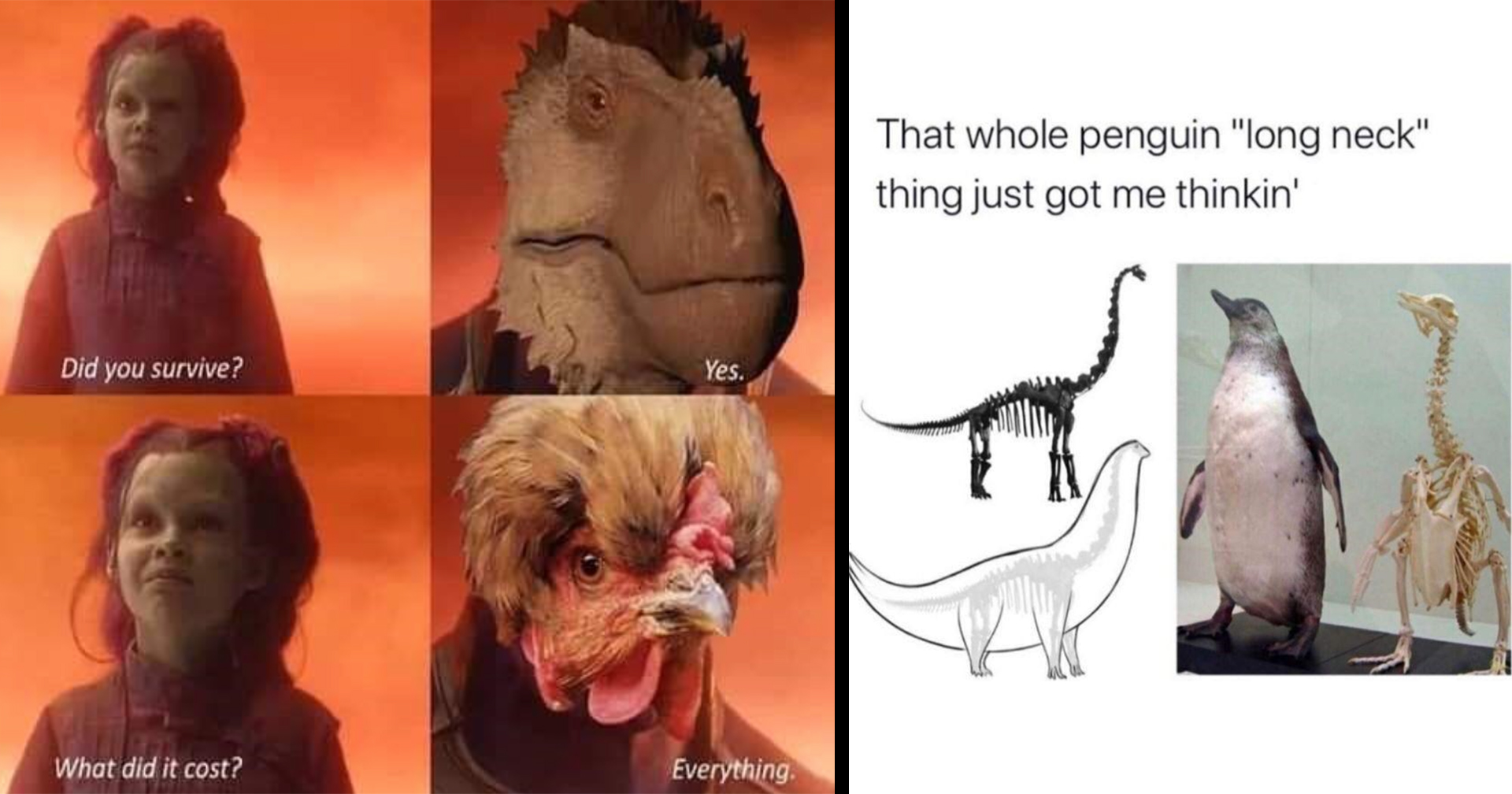 Yas Dinosaur Memes