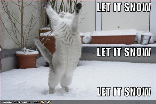 let it snow pet funny