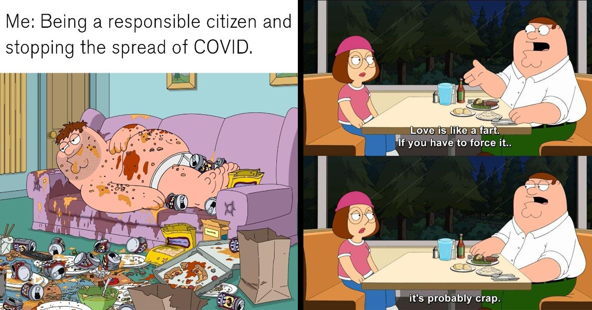 20+ Classic Memes & Iconic Moments From Family Guy - Memebase - Funny Memes