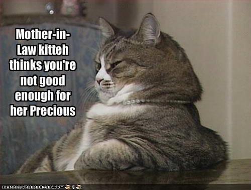 Mother-in-Law kitteh thinks you're not good enough for her Precious