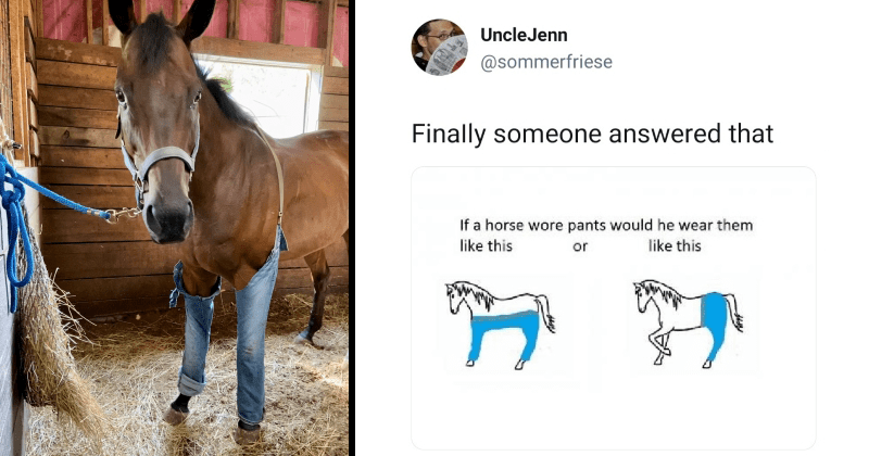 Woman Finally Answers The Question Of How A Horse Would Wear Pants