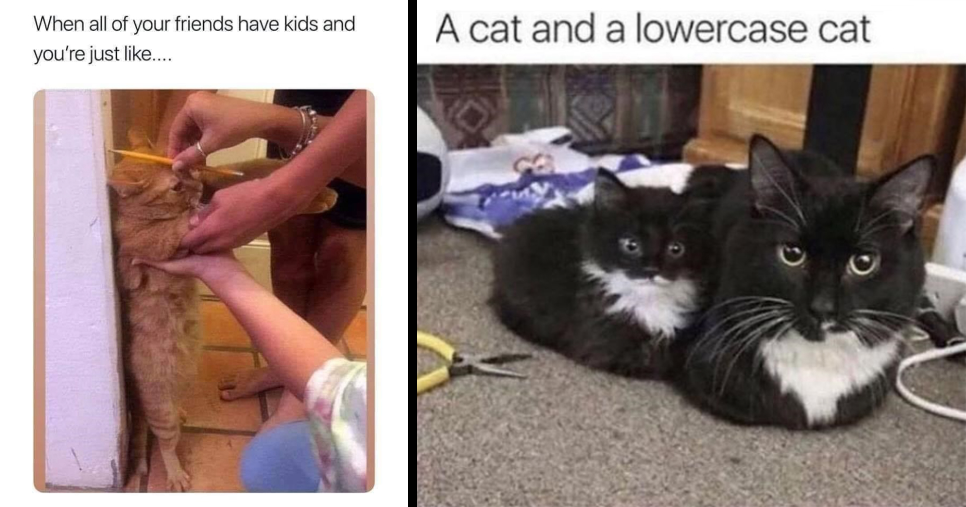 Awww hell nah man!” . Like this content? Follow us for more ❤️  @TheFupaTrooper . #viral #beaver #meme #memes #bestmemes #instamemes #funny  #funnymemes #dankmemes #offensivememes #edgymemes #spicymemes #nichememes  #funniestmemes #dank #memesdaily #jokes #, image size:1920x1008