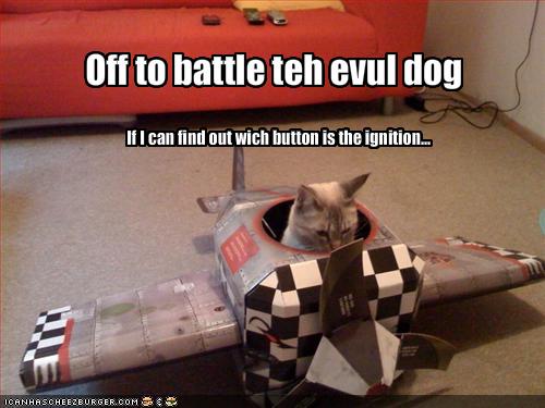 good captions for dating sites