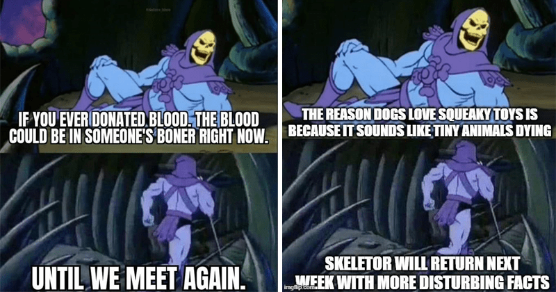 Unsettling Skeletor Facts Disturbing Facts Truths
