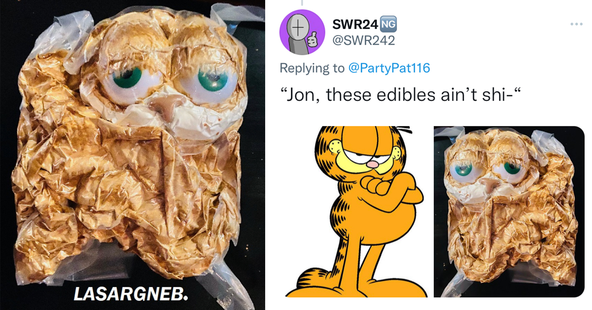 Creepy Vacuum-Sealed Garfield Inspires Cursed Memes - Memebase - Funny