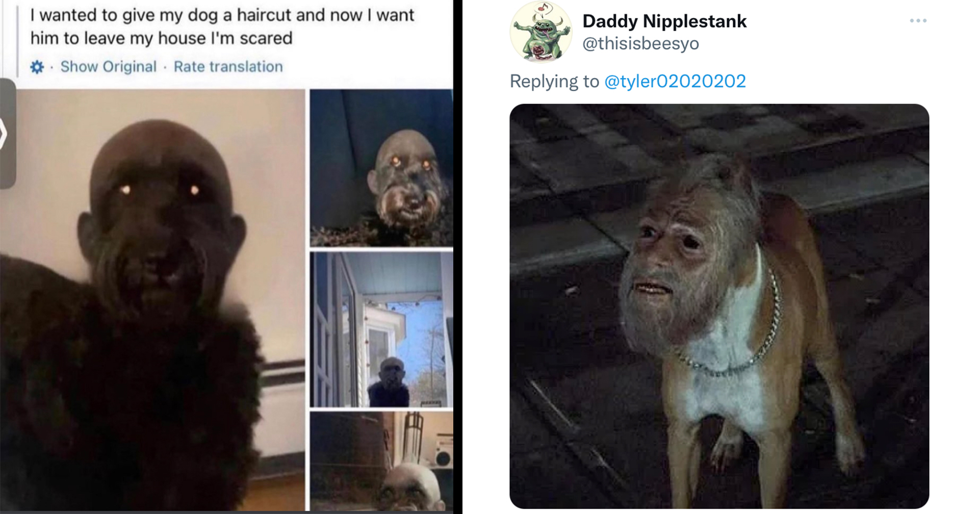 Cursed Humanoid Terrier Horrifies Twitter Just in Time for Halloween ...