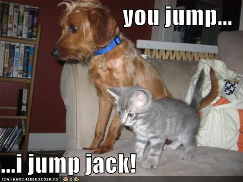 You Jump I Jump Jack Cheezburger Funny Memes Funny Pictures