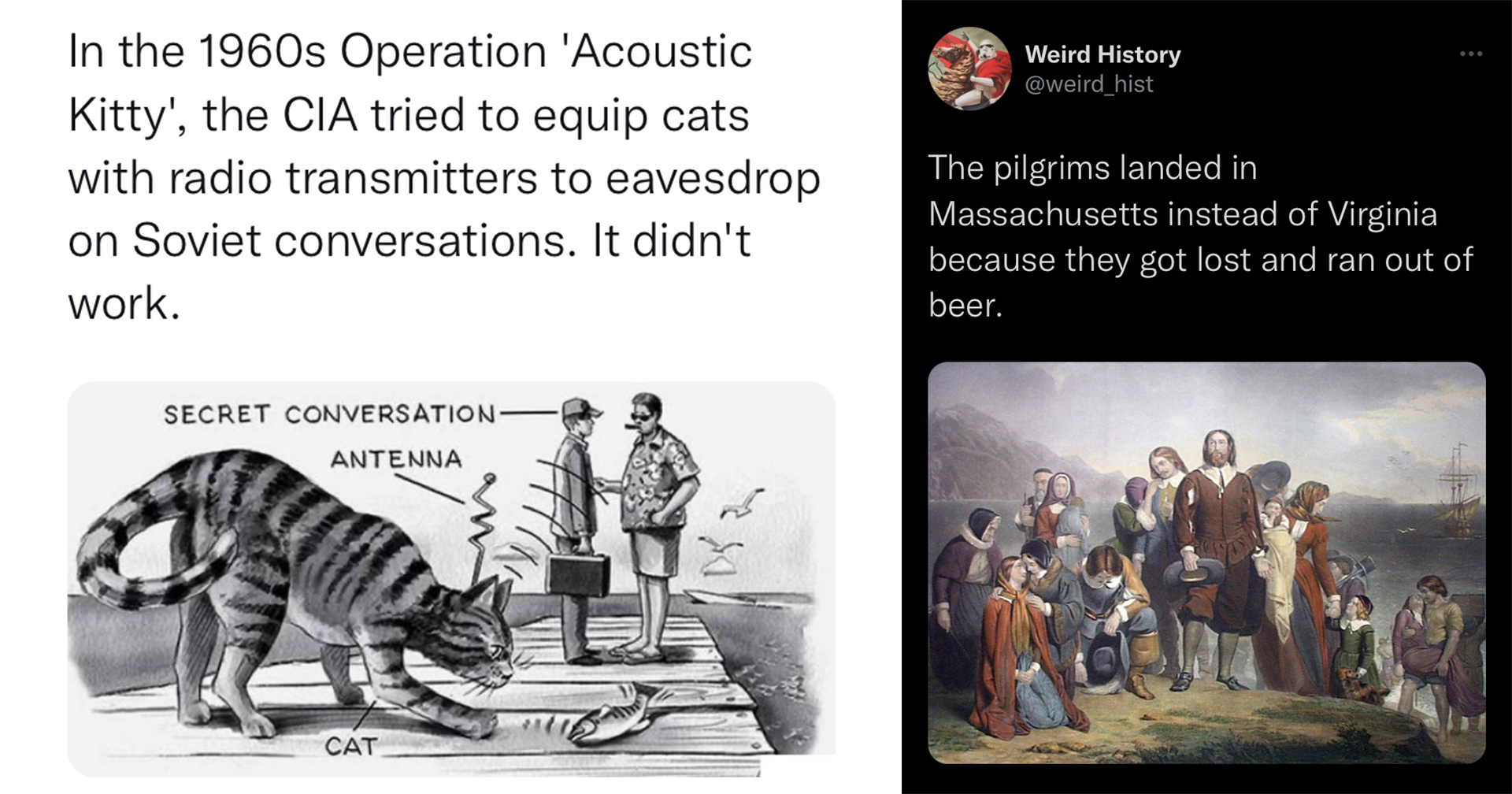 Obscure Facts & Snapshots From History Memebase Funny Memes