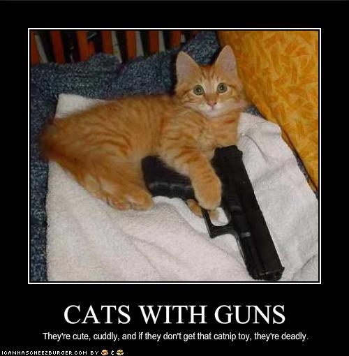 CATS WITH GUNS Cheezburger Funny Memes Funny Pictures