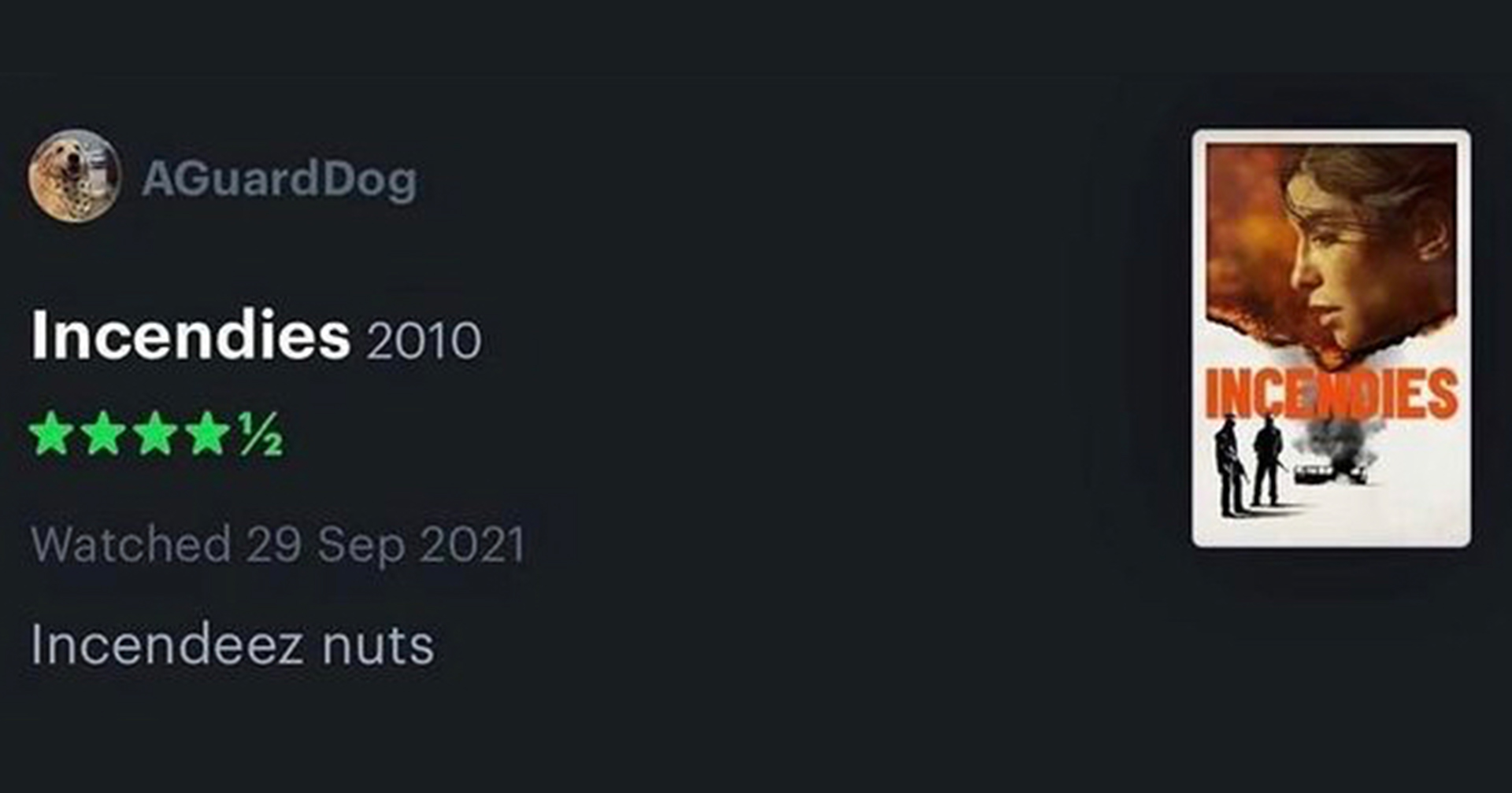 20+ Priceless Letterboxd Reviews That Deserve Appreciation Memebase