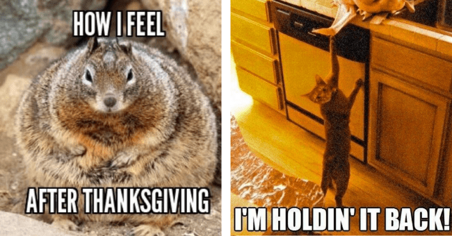 Funny Thanksgiving Memes - Laughs for Turkey Day