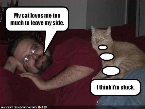 kong dog toys website