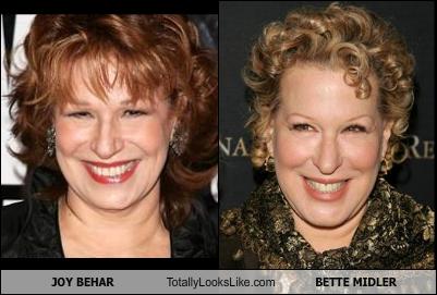 JOY BEHAR Totally Looks Like BETTE MIDLER - Cheezburger - Funny Memes ...