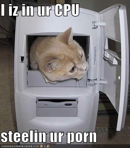 Cpu Porn - I iz in ur CPU steelin ur porn - Cheezburger - Funny Memes ...