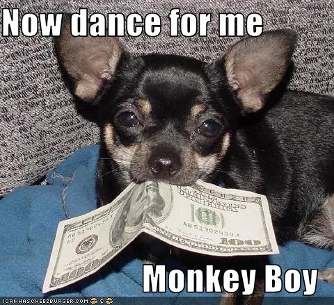 monkey dog dance