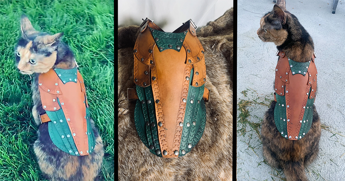 Leatherworker and Dungeons & Dragons Enthusiast Creates “Kitty Armor