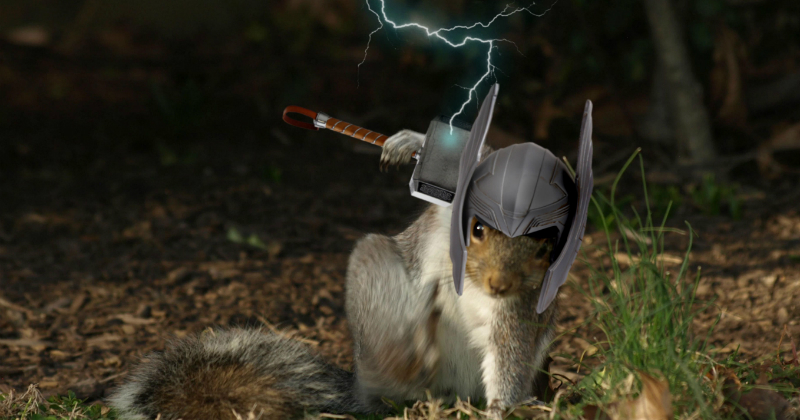 This Squirrel in a Superhero Pose Got a Marvelous Photoshop Battle - I