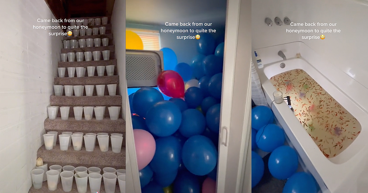 Memebase saran wrap All Your Memes In Our Base Funny Memes