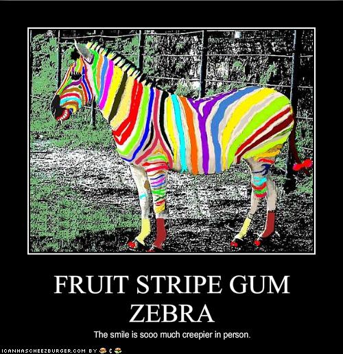 FRUIT STRIPE GUM ZEBRA - Cheezburger - Funny Memes | Funny Pictures