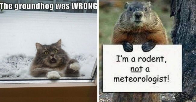 Happy Groundhog Day: Delightful Groundhog Memes - I Can Has Cheezburger?