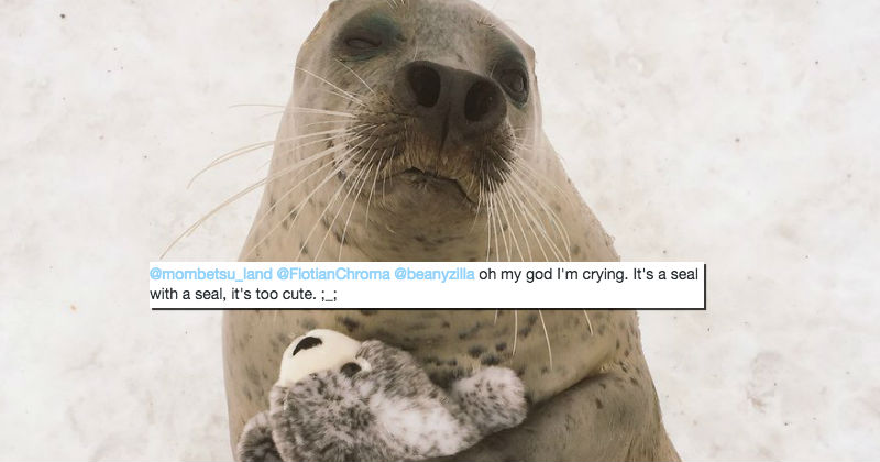 Seal Crying Meme