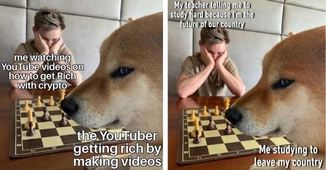cat playing chess meme｜TikTok Search