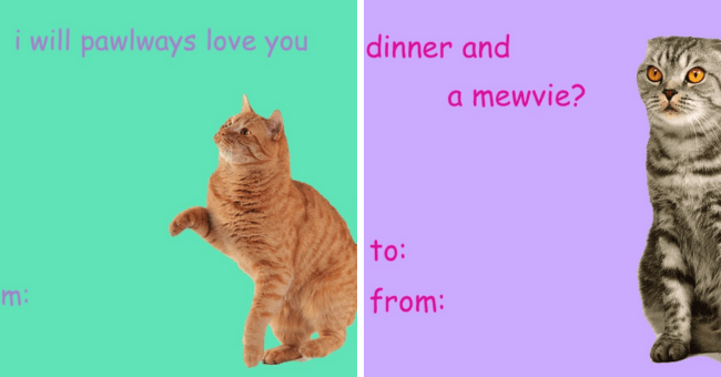 cat valentine card tumblr