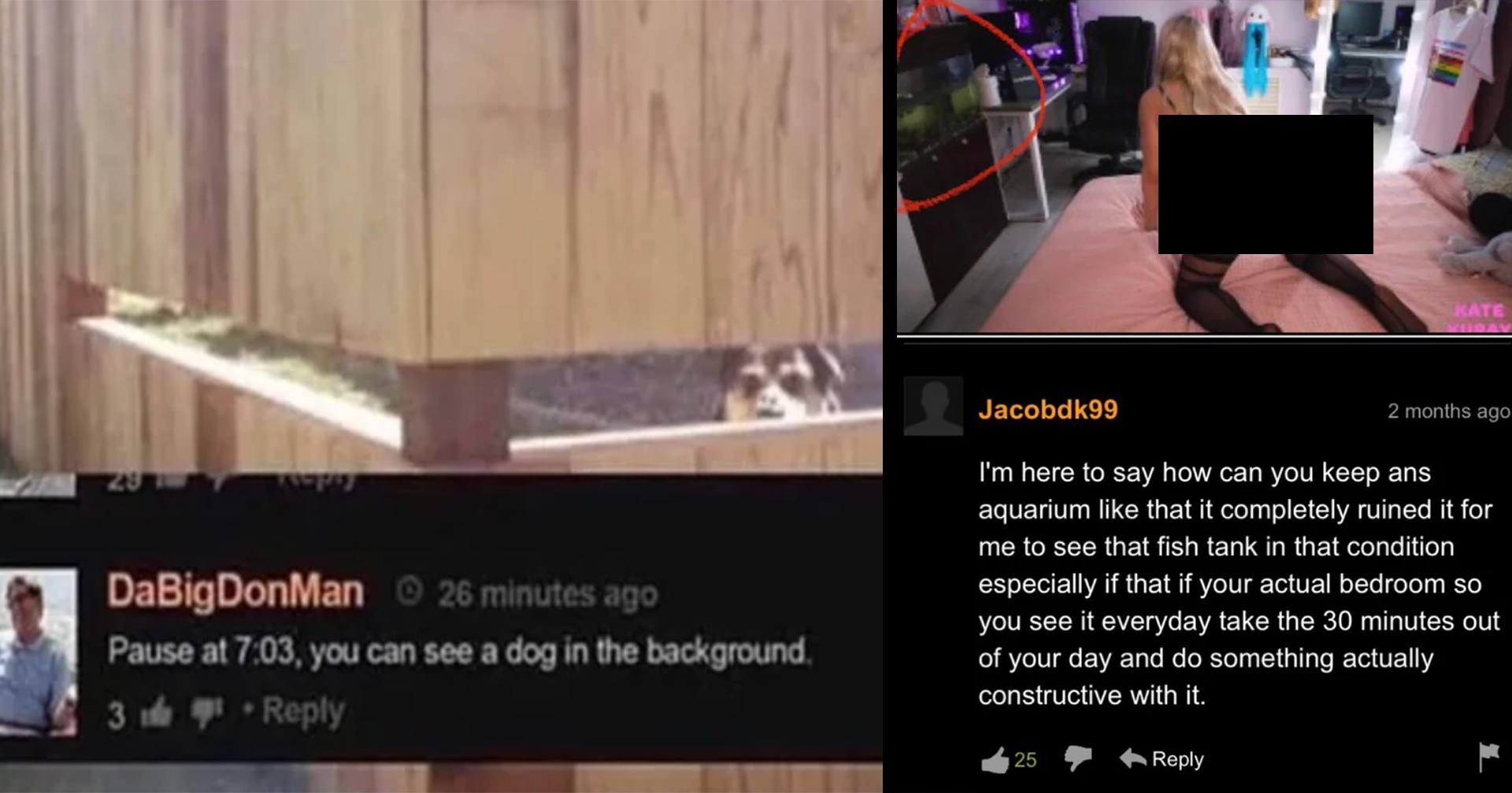 Memes pornhub