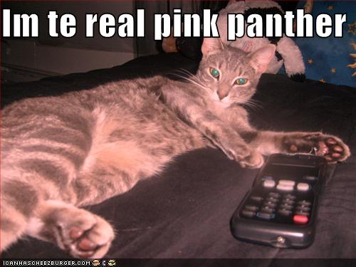 Pink panther computer game
