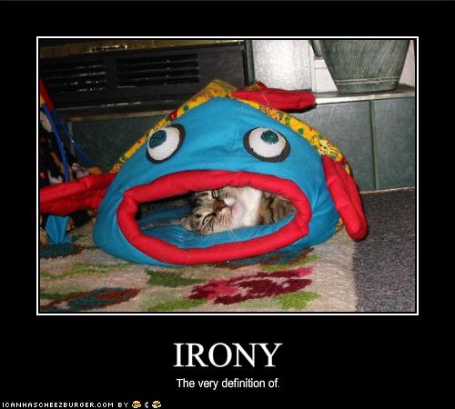 IRONY - Cheezburger - Funny Memes | Funny Pictures