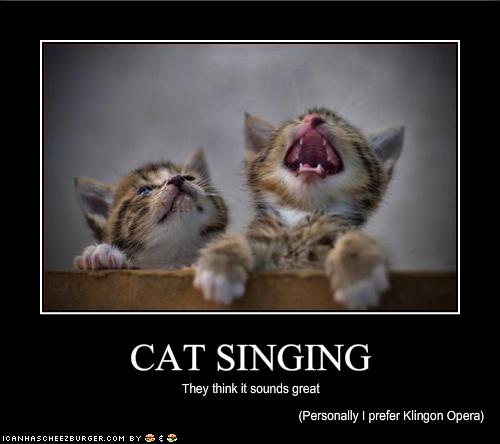 CAT SINGING Cheezburger Funny Memes Funny Pictures CAT SINGING Cheezburger Funny Memes Funny Pictures