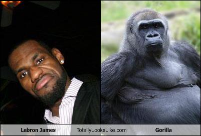 cheezburger-image-1678715136