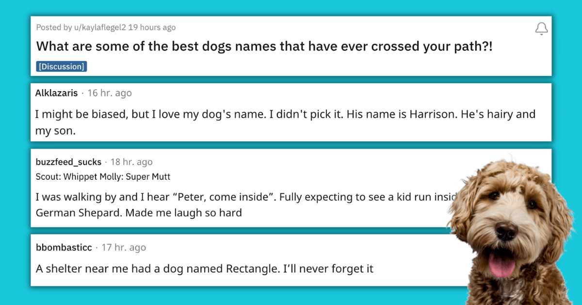 what is a good name for a dog