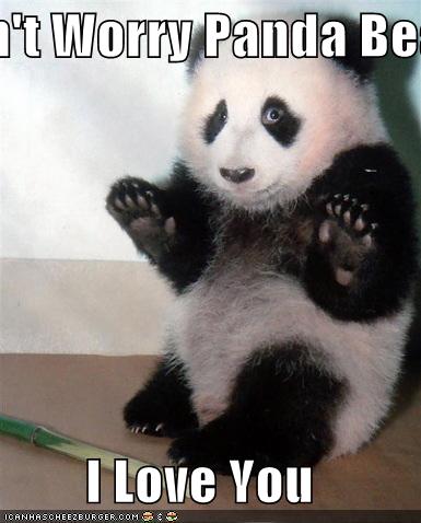 Don't Worry Panda Bear I Love You - Cheezburger - Funny ...