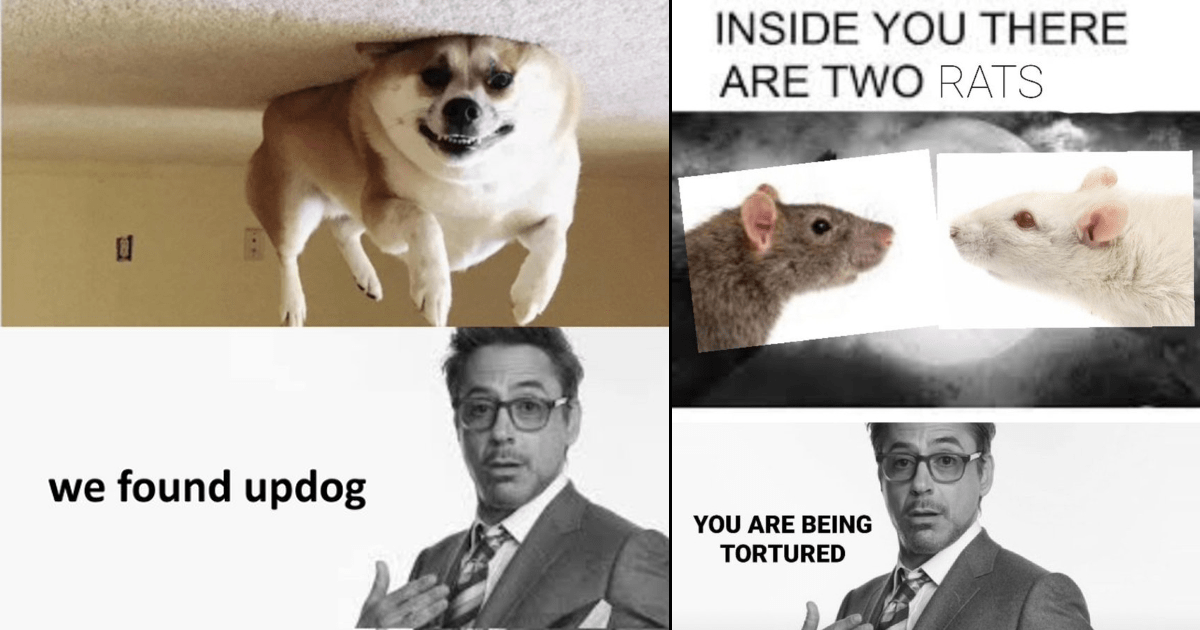 robert downey jr meme