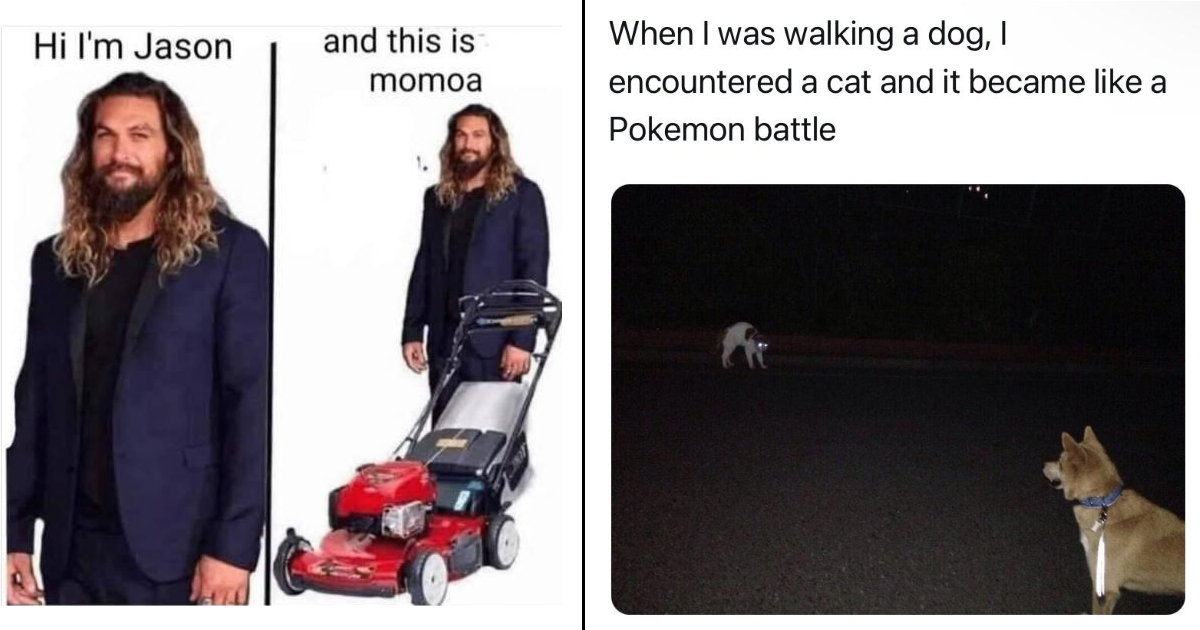 A Dusting Of Memes To Cover Up Boredom Memebase Funny Memes